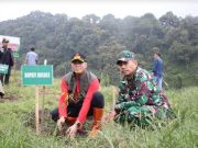 Dandim Brebes Pimpin Rehabilitasi Hutan, Tanam 2.500 Bibit Pohon