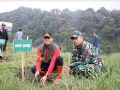 Dandim Brebes Pimpin Rehabilitasi Hutan, Tanam 2.500 Bibit Pohon
