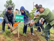 Kawasan Hutan Lindung di Kaki Gunung Slamet Mulai Direboisasi