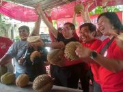PSI Kampanye Terbuka Santun dan Santuy dengan Gelar Festival Durian