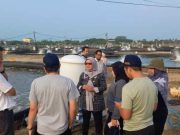 Tiga Staf Kepresidenan RI Kunjungi Kampung Perikanan Donorojo