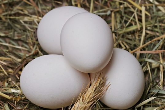 Seringkali Digunakan Sebagai Campuran Obat Tradisional, Ini Tiga Manfaat Mengonsumsi Telur Ayam Kampung