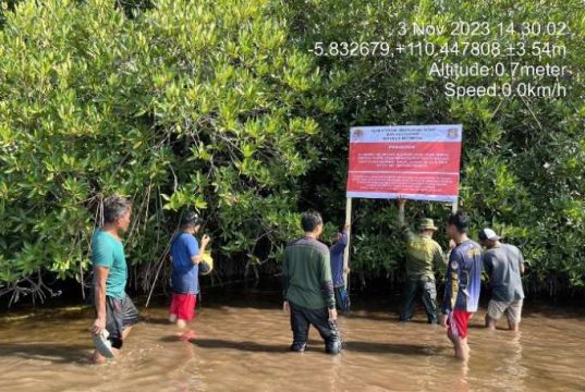 Tindak Lanjut Kasus Tambak Udang Karimunjawa, Hari Ini Tim Penyidik dan Tim Ahli ke Karimunjawa