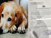 Aktivis Temukan Warung ‘Rica Gukguk’ di Semarang, Pedagang Ngaku Daging Anjing Dikirim dari Sragen