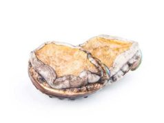 Tergolong Mahal, Ini Tiga Manfaat Mengonsumsi Kerang Abalon