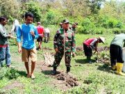 Gerakan Massal Penghijauan di Area Green Belt Waduk Gajahmungkur