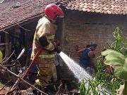 Rumah Penyimpanan Pakan Ternak Ludes Terbakar