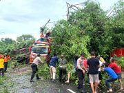 Pohon Tumbang, Ruas Jalan Raya Wonogiri-Ponorogo Tertutup
