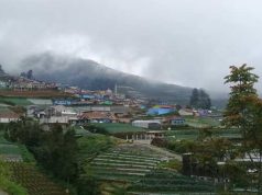 Menikmati Eksotika Nepal van Java di Dusun Butuh Punggung Gunung Sumbing