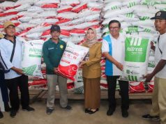 5.000 Petani di Kebumen Terima Pupuk Murah Nonsubsidi