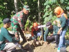 Aksi Massal Tanam Pohon Memperingati HMSP Sedunia