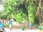 Hindari Pemadaman Mendadak, Petugas PLN dan Tentara Kedungtuban Bersihkan Dahan Pohon Dekat Jaringan Listrik