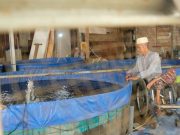 Memanen Berkah Abon Lele Disabilitas Tangguh yang Melenggang ke Mancanegara