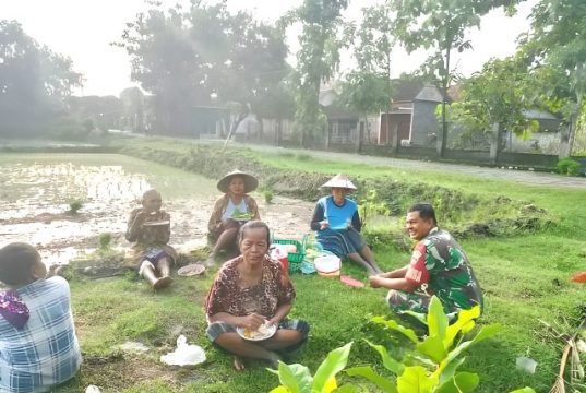 Tentara Sambangi Petani di Sawah Randublatung, Wujud Kedekatan TNI dengan Masyarakat