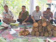 Wisata Kampung Durian di Tunjungan Blora, Setiap Panen ada Tradisi Sedekah Durian