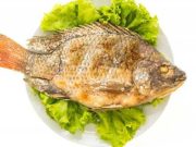 Walau Tinggi Nutrisi, Ini Risiko Terlalu Banyak Mengonsumsi Ikan Mujair