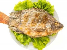 Walau Tinggi Nutrisi, Ini Risiko Terlalu Banyak Mengonsumsi Ikan Mujair