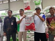 Pemerintah Alokasikan Subsidi Pupuk Rp 25 Triliun