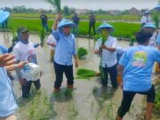 TKN dan Relawan Jakwire Prabowo-Gibran Ubah Lahan Tidur Jadi Produktif