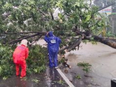 Hujan Deras dan Angin Kencang Terjang Kudus, Belasan Pohon Tumbang dan Bangunan Rusak