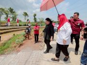 Puan Maharani Resmikan Penggilingan Padi Petani di Mijen, Apresiasi Program Ketahanan Pangan Pemkot Semarang