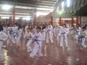1.850 Taekwondoin Ikuti Ujian Kenaikan Tingkat