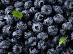 Si Ungu yang Baik Dikonsumsi Tiap Hari, Yuk Intip Manfaat Bluberry Bagi Kesehatan
