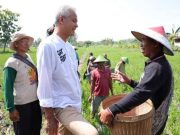 Doa Para Petani Terkabul, Ganjar Putihkan Kredit Macet
