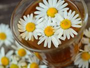 Dapat Meredakan Gejala Menstruasi, Manfaat Mengonsumsi Bunga Chamomile