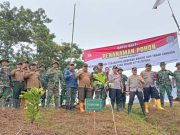 Antisipasi Longsor, Papasan Ditanami Seribu Pohon