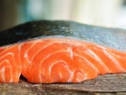 Kaya akan Omega-3, Empat Jenis Ikan yang Dapat Meningkatkan Kecerdasan Otak Anak