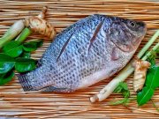 Mangandung Banyak Vitamin B12, Ini Tiga Manfaat Ikan Nila bagi Kesehatan