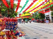 Tahun Naga Kayu Imlek Kongzili 2575, Melambangkan Kekuatan Keberuntungan