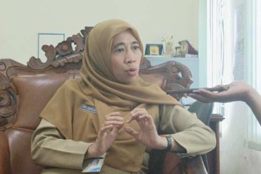 Sekdinkes Pemkab Batang: Fogging Bukan Solusi Utama Tangani DB