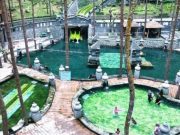 OW Guci Sumbang Pendapatan Daerah Rp12,97 Miliar