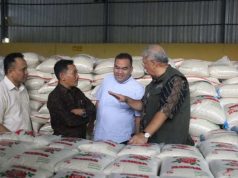 Petani Blora Mulai Panen Padi, Bulog Pastikan Harga Beras Akan Normal
