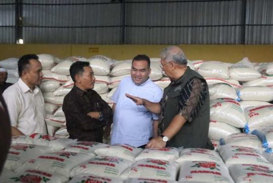 Petani Blora Mulai Panen Padi, Bulog Pastikan Harga Beras Akan Normal