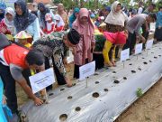Aktivasi Program K3P Sebagai Wisata Edukasi, Pertamina Selenggarakan Event Tanam Serentak 1000 Tanaman Hortikultura