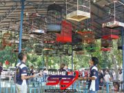 Kerinduan Para Penggemar Burung Berkicau Akan Event dari Radjawali Enterprise Terobati Dengan Kehadiran Gelaran Road to Paparazi