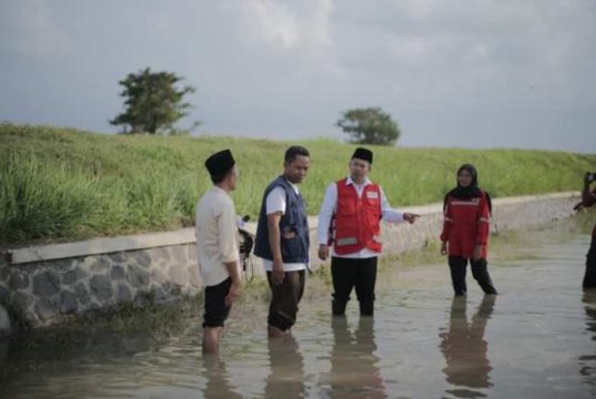 Rektor USM Apresiasi Mahasiswa yang Terlibat Penanganan Banjir Demak