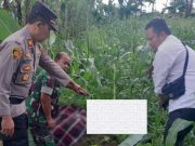 Sedang Bekerja di Ladang, Seorang Petani Ditemukan Meninggal