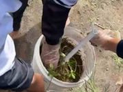 Solusi Jitu, Ubah Limbah Rumah Tangga Jadi Pupuk Kompos