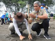 Cegah Abrasi di Pantai Utara Jateng, Pemprov Jateng Ajak Masyarakat Tanam Pohon