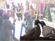 Merpati Tak Pernah Ingkar Janji