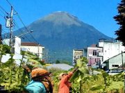 Puisi dari Gunung Sindoro