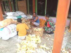 Babinsa Jati Blora Bantu Warga Memipil Jagung