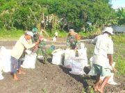 Antisipasi Banjir, Poktan Sari Bakti I Tambakromo Perbaiki Tanggul Bersama Babinsa Cepu