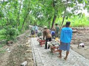 Tingkat Gotong-Royong Warga, Babinsa Ikut Pasang Paving Jalan Kedinding Kedungtuban