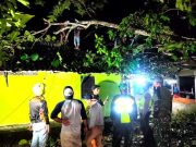 Tiga Kecamatan di Wonogiri Dilanda Bencana Hujan Angin