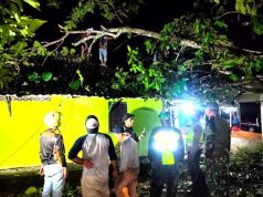 Tiga Kecamatan di Wonogiri Dilanda Bencana Hujan Angin